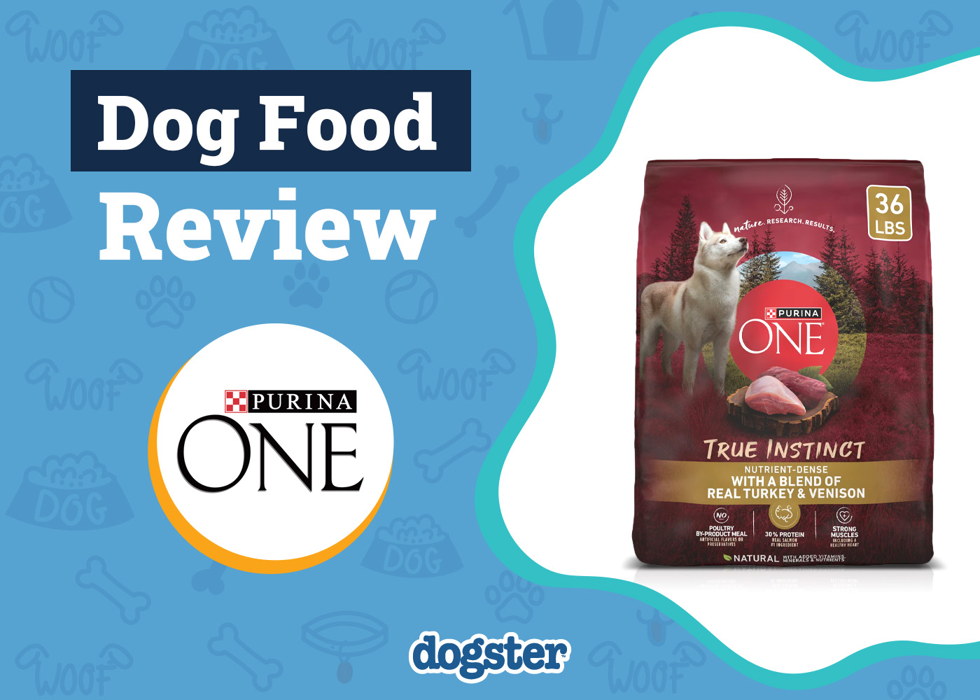 Purina ONE SmartBlend True Instinct Dog Food Review: Pros, Cons, Recalls & FAQ