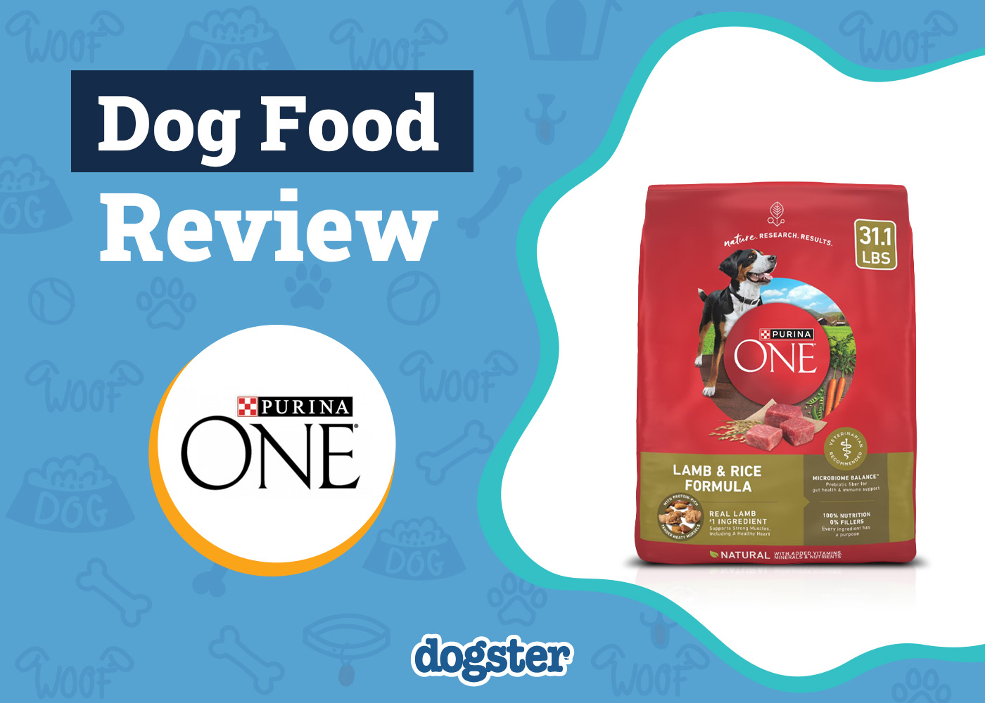 Purina One Lamb and Rice Dog Food Review 2026: Recalls, Pros & Cons