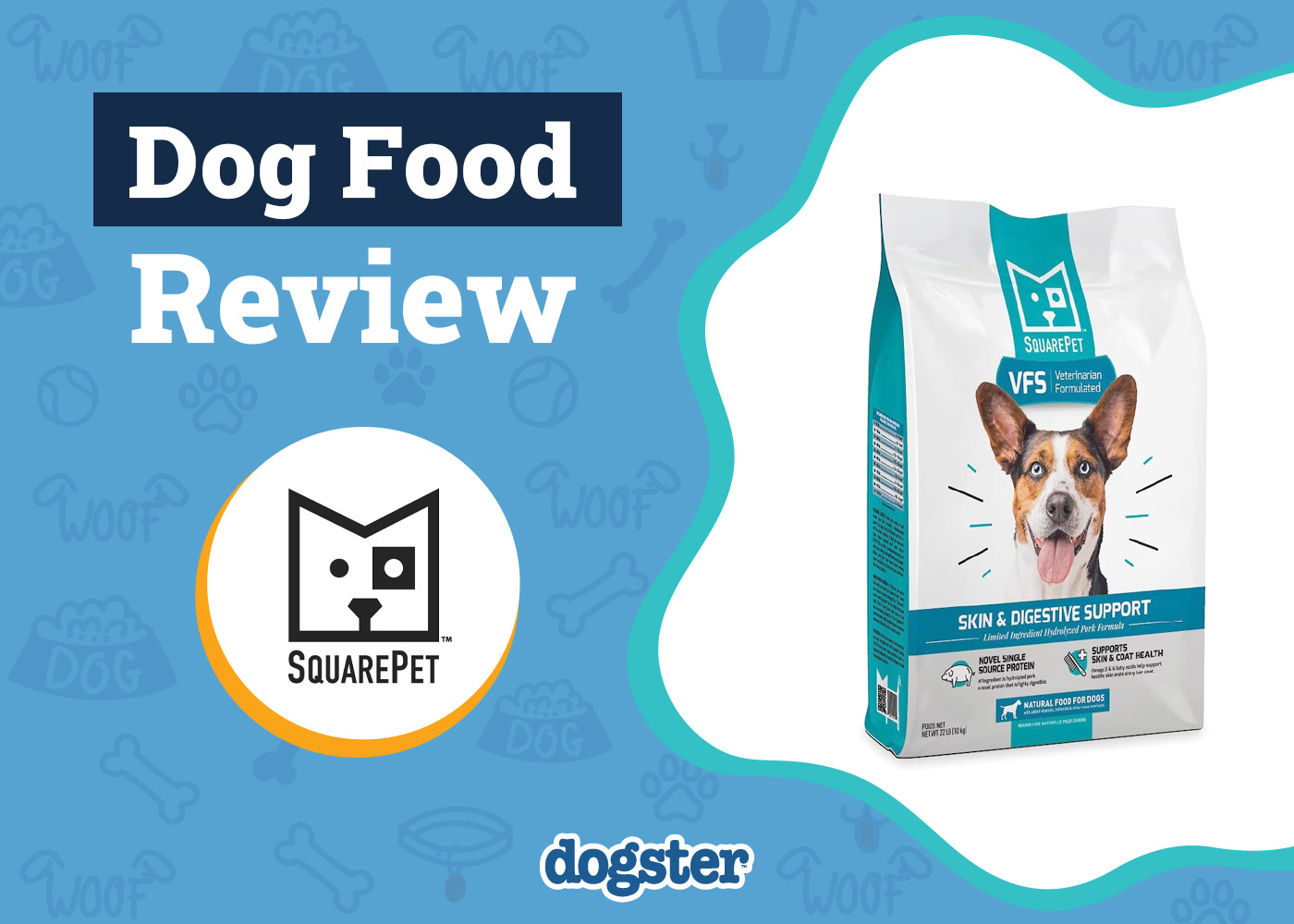 SquarePet Dog Food Review 2026: Recalls, Pros & Cons