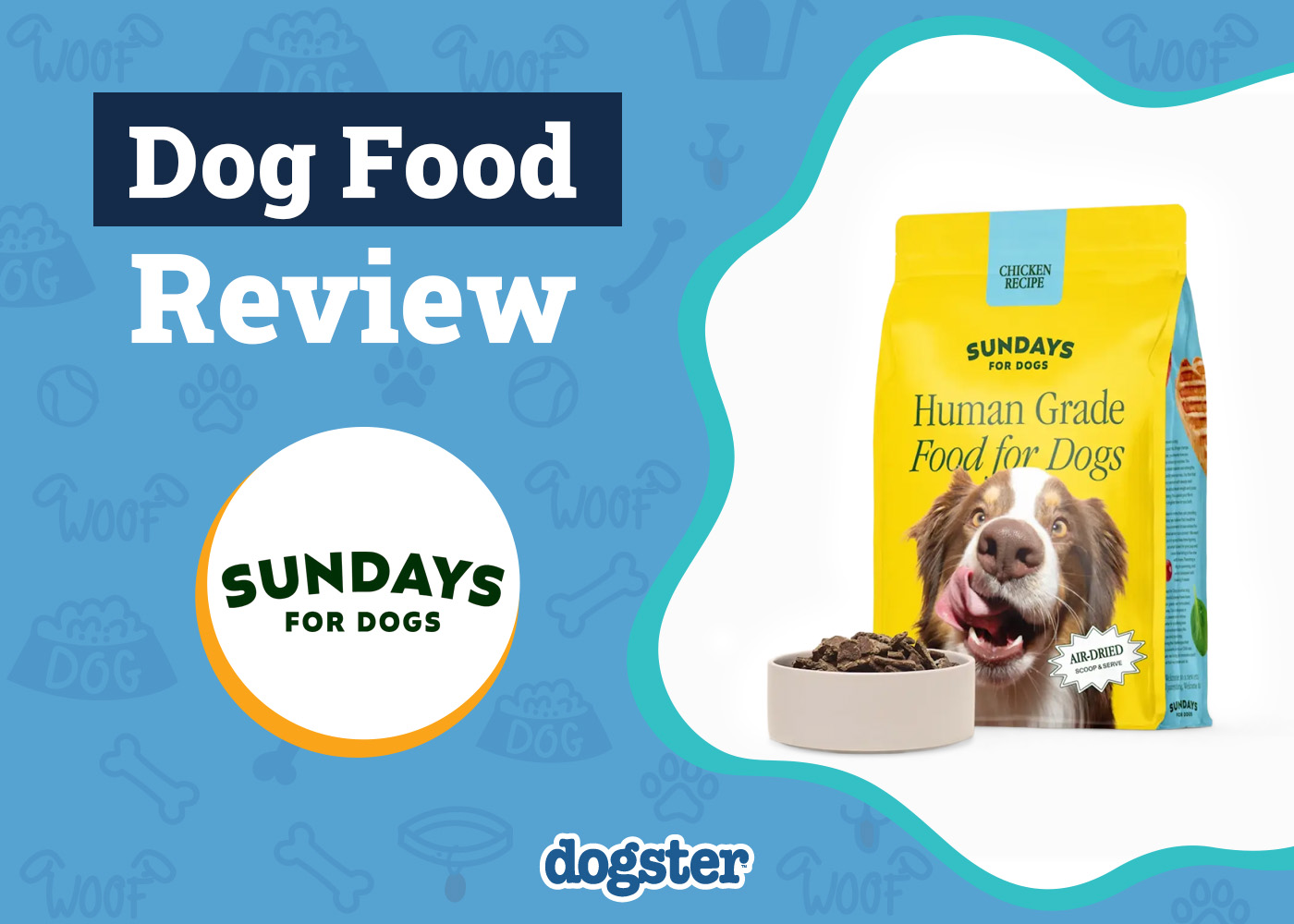Sundays for Dogs Food Review 2026: Our Expert’s Opinion