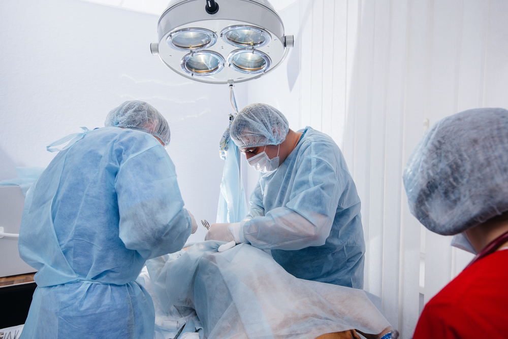 How Much Does a Dog Cesarean Section Cost? (2026 Price Guide)