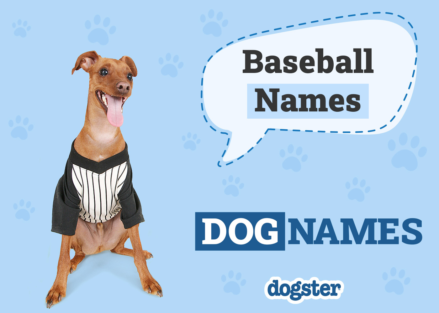 103 Baseball Dog Names Inspired by Major League