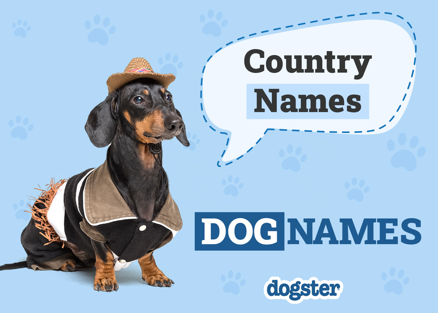 355 Country Dog Names for Down-to-Earth Pups