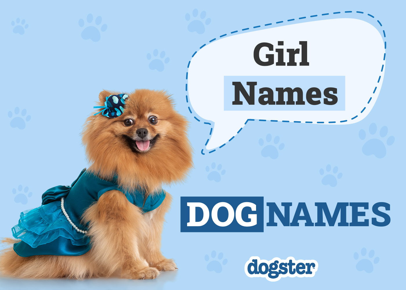 325 Girl Dog Names for Your Female Pup