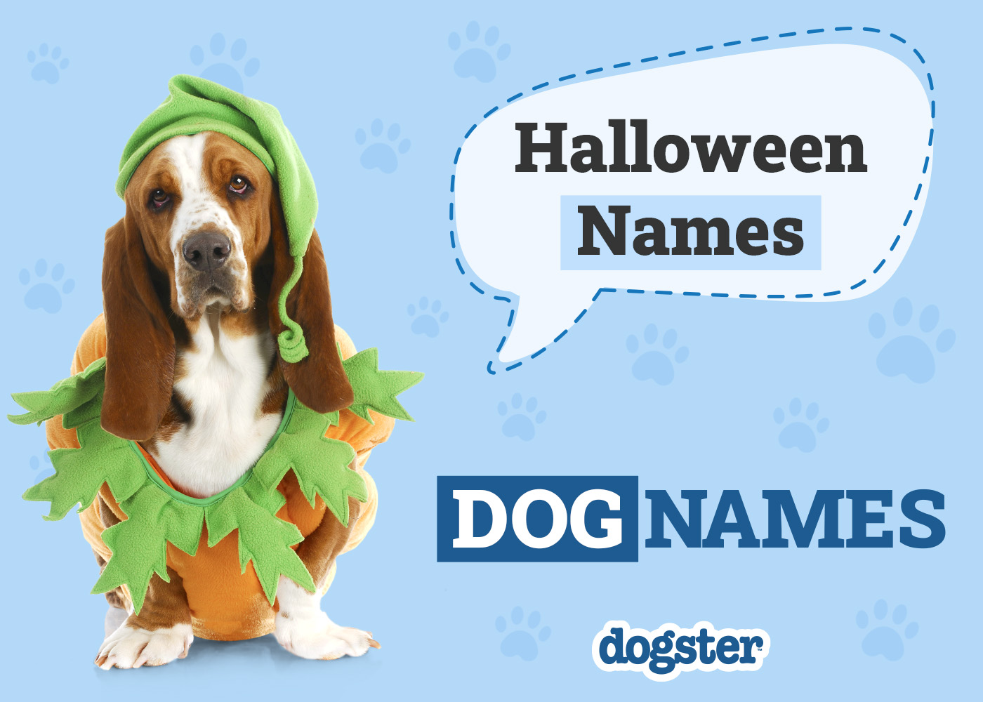 140+ Halloween Dog Names for Your Spooky Pooch