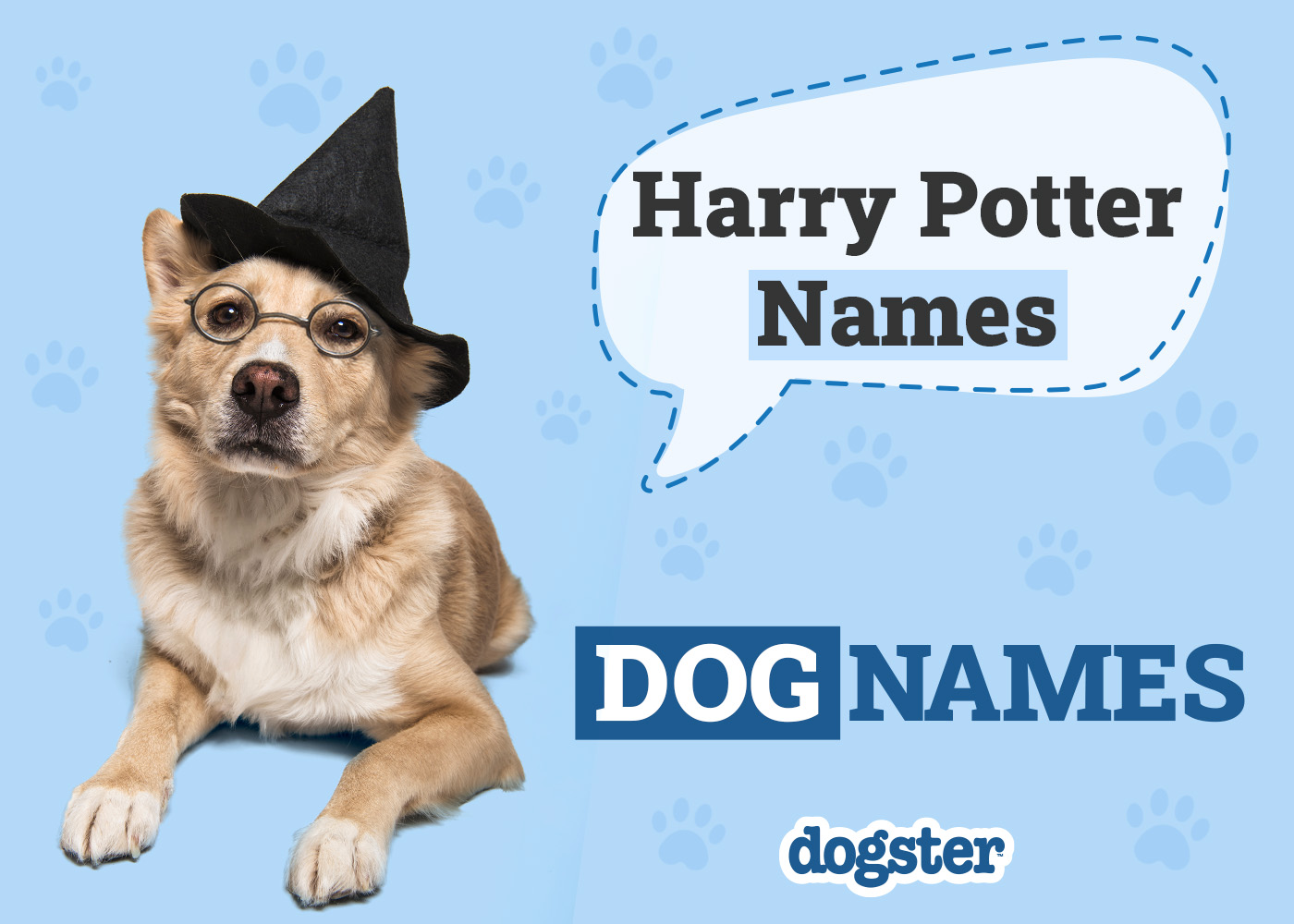 Dogster_Harry Potter Names