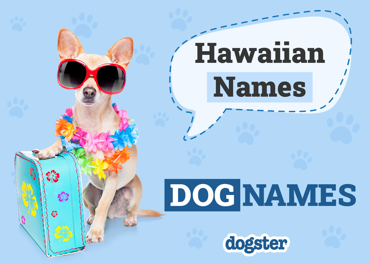 140 Hawaiian Dog Names for Relaxed Island Pups