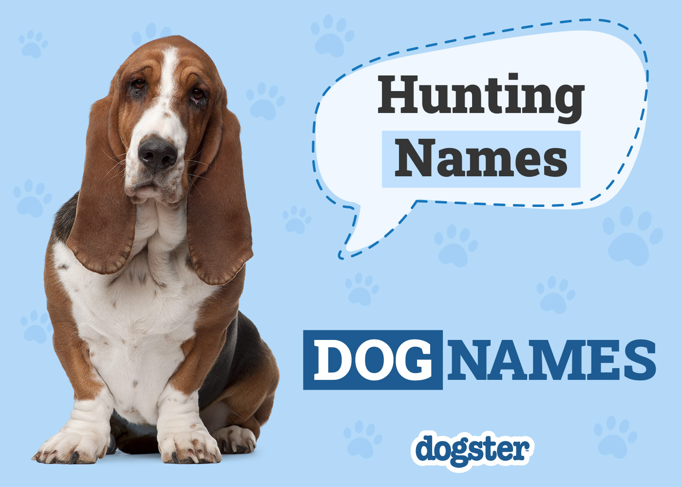 150+ Hunting Dog Names: Tough & Fierce Names for Your Pup