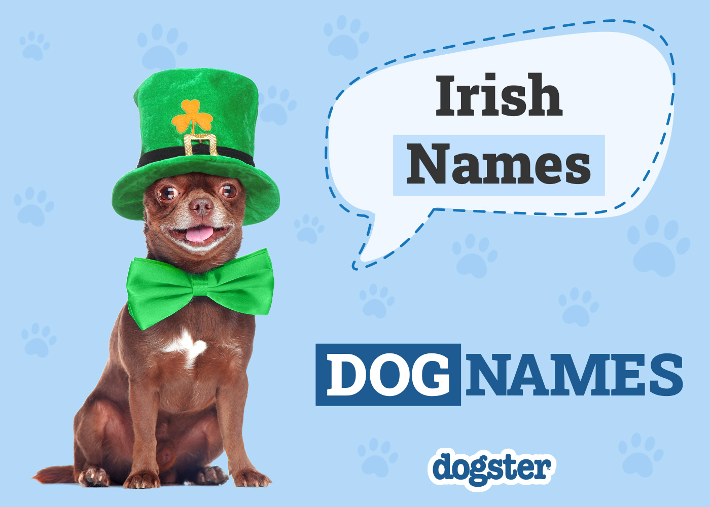 225 Irish Dog Names: Popular Monikers for Lucky Pups