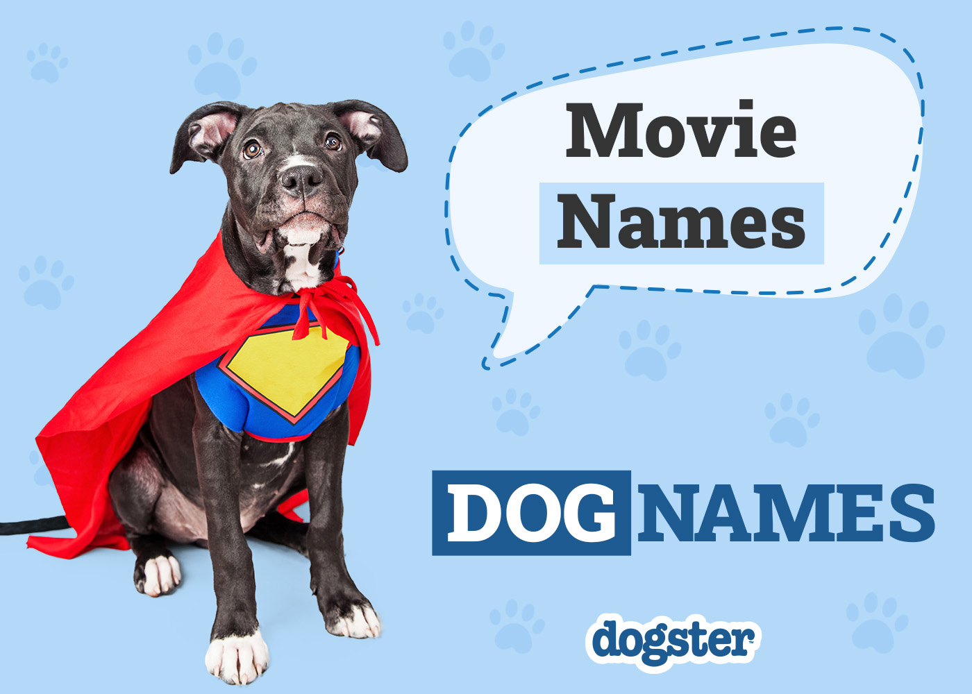 350 Dog Names From Movies for Your Star Studded Pooch