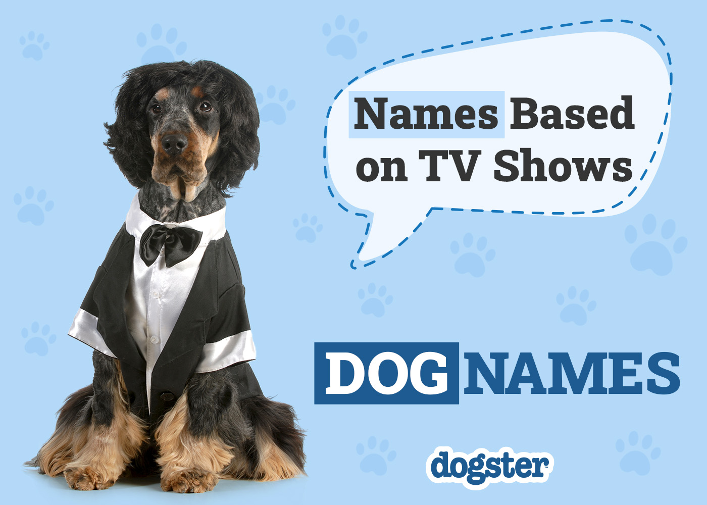 50 Dog Names Based on TV Shows in 2026