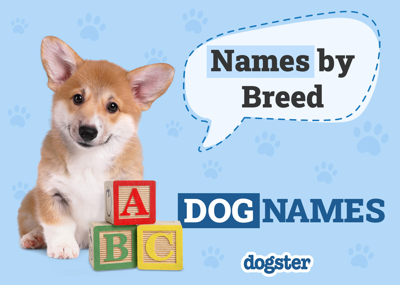 Dog Names by Breed: A Complete List From A to Z