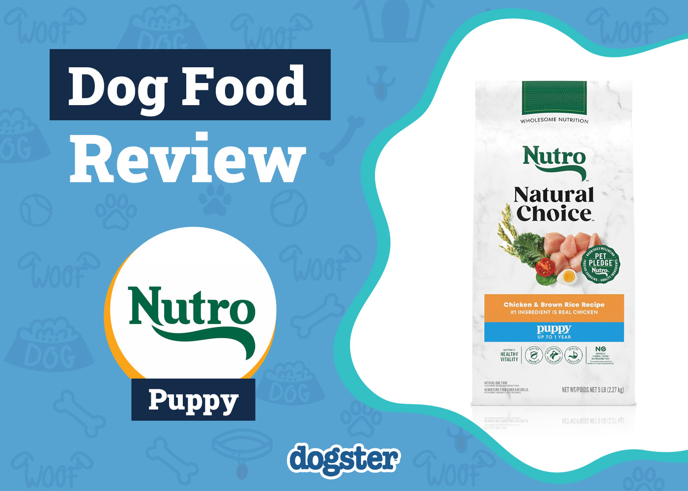 Nutro Dog Food Review 2026: Pros, Cons & Expert's Opinion