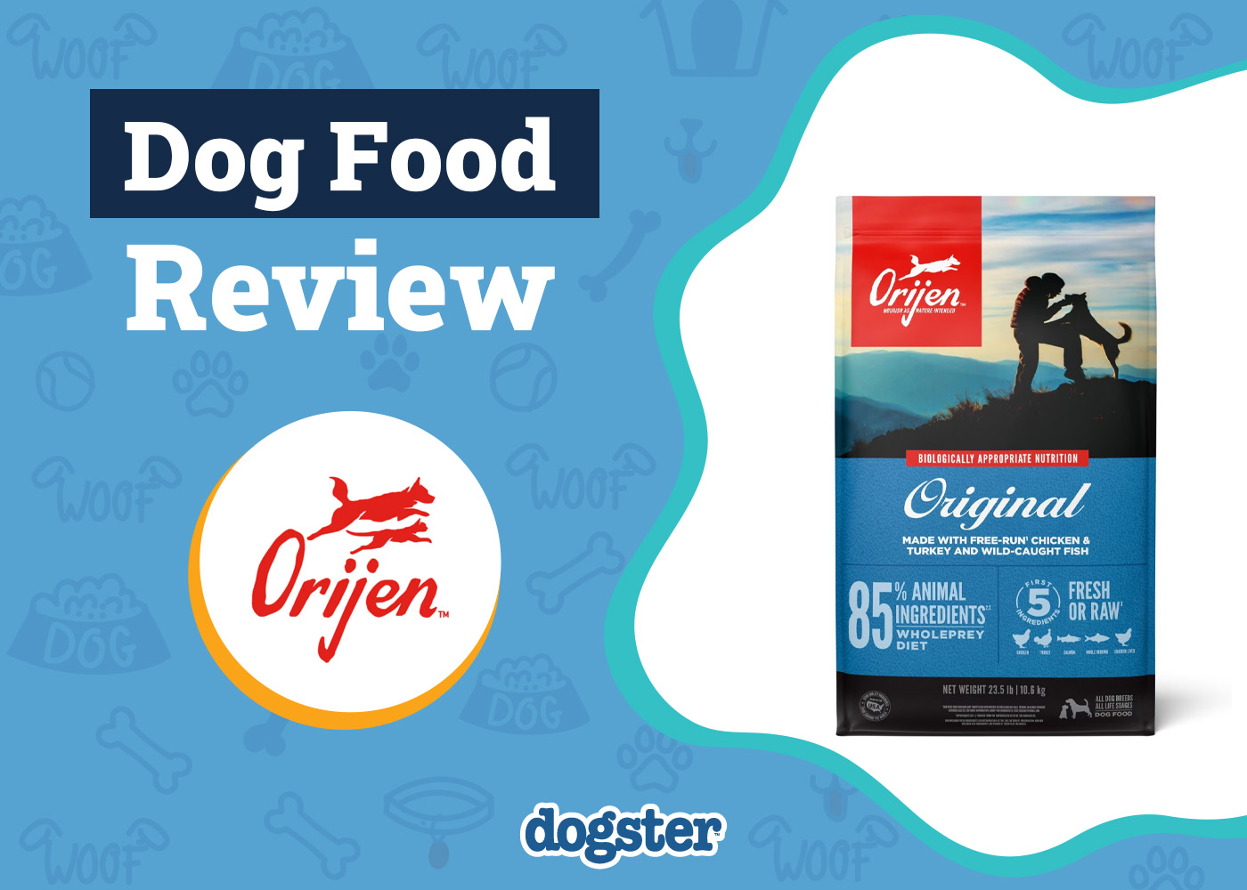 Orijen Dog Food Review 2026: Vet-Verified Pros, Cons, Recalls & FAQ