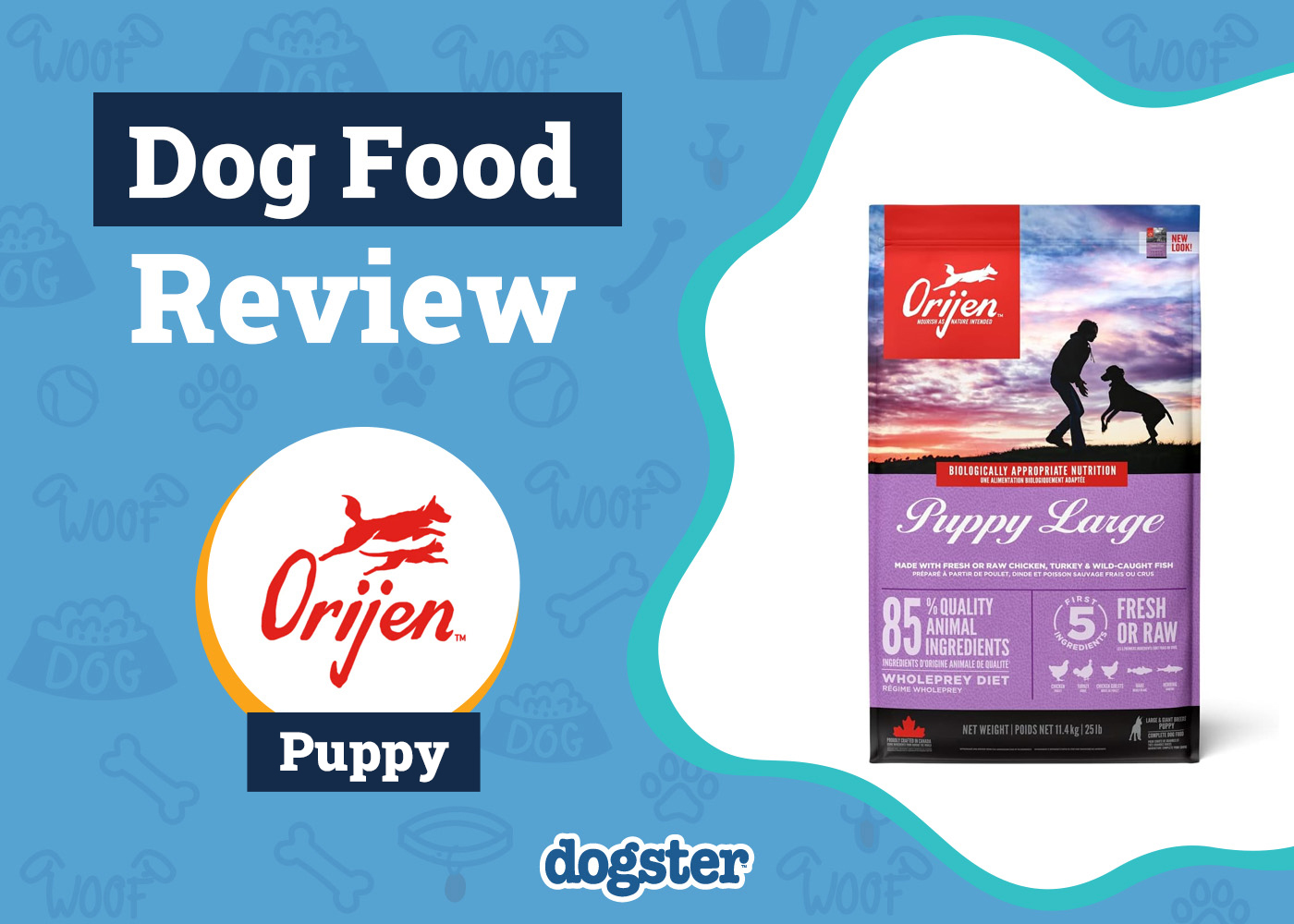 Orijen Puppy Food Review 2026: Pros, Cons, Recalls, and FAQ