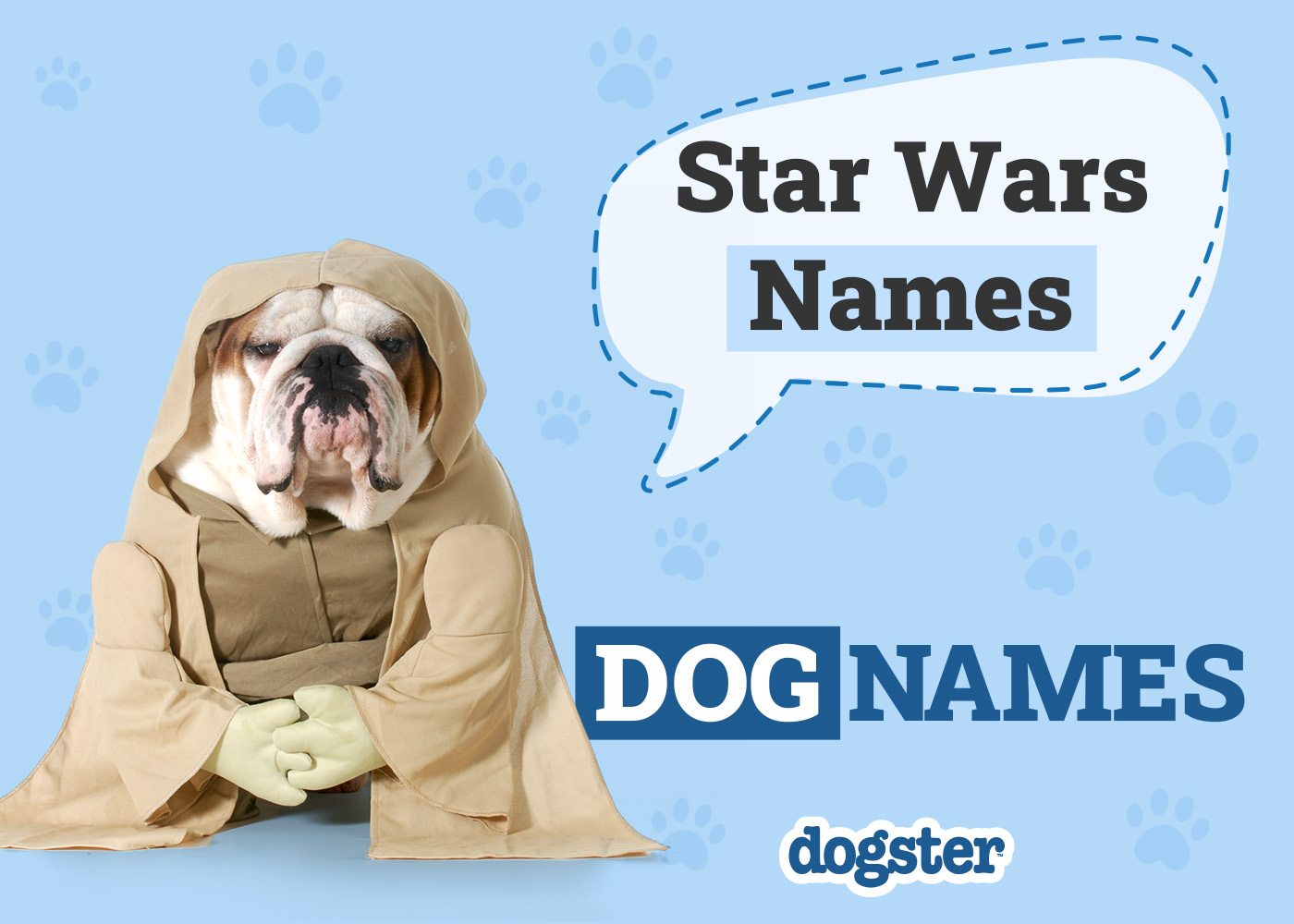 150+ Star Wars Dog Names from a Galaxy Far, Far Away