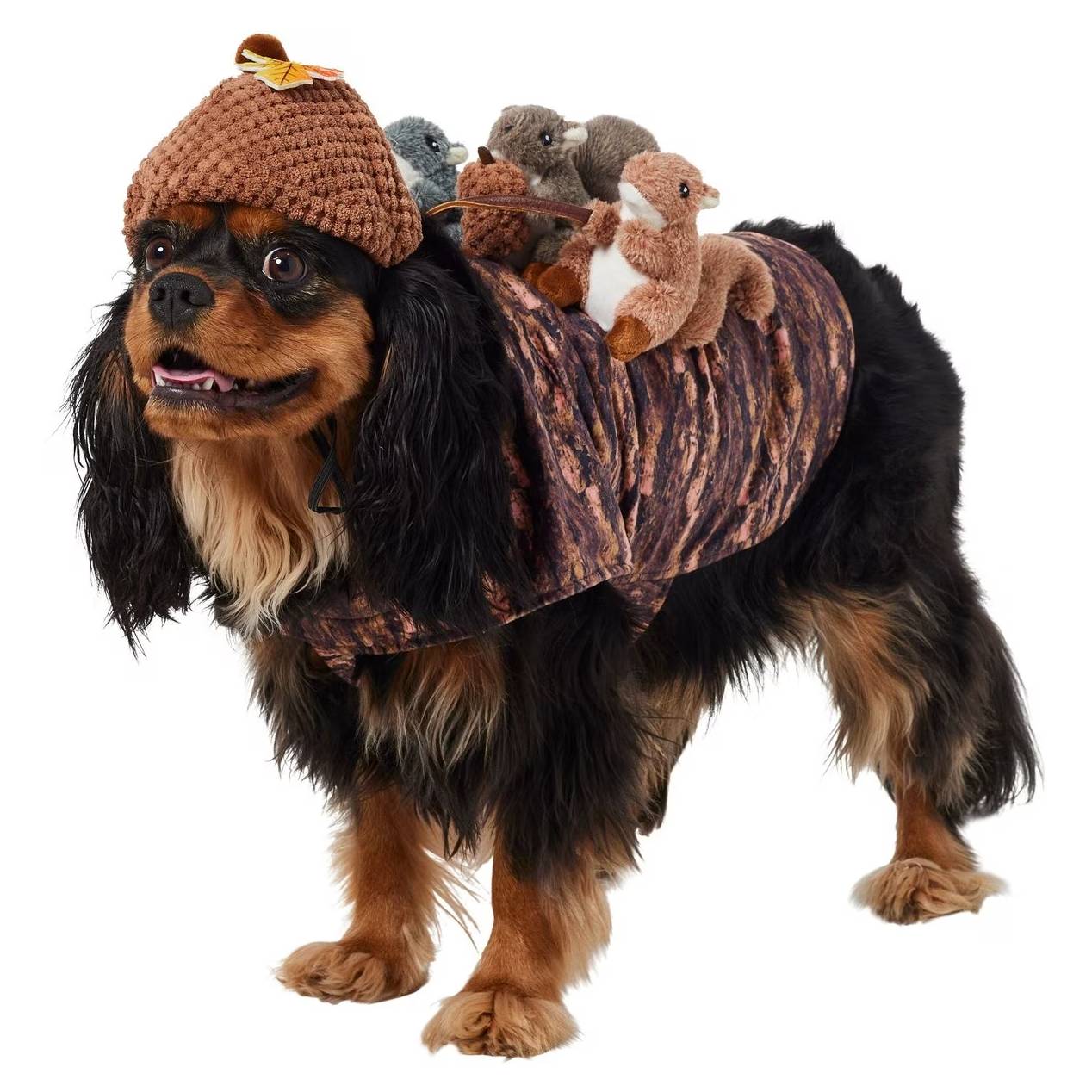 Frisco Squirrels &amp; Nuts Ride-On Dog &amp; Cat Costume