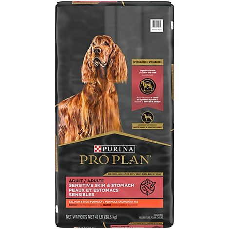 New Project Purina Pro Plan Sensitive Skin and Stomach Dog Food Salmon and Rice Formula