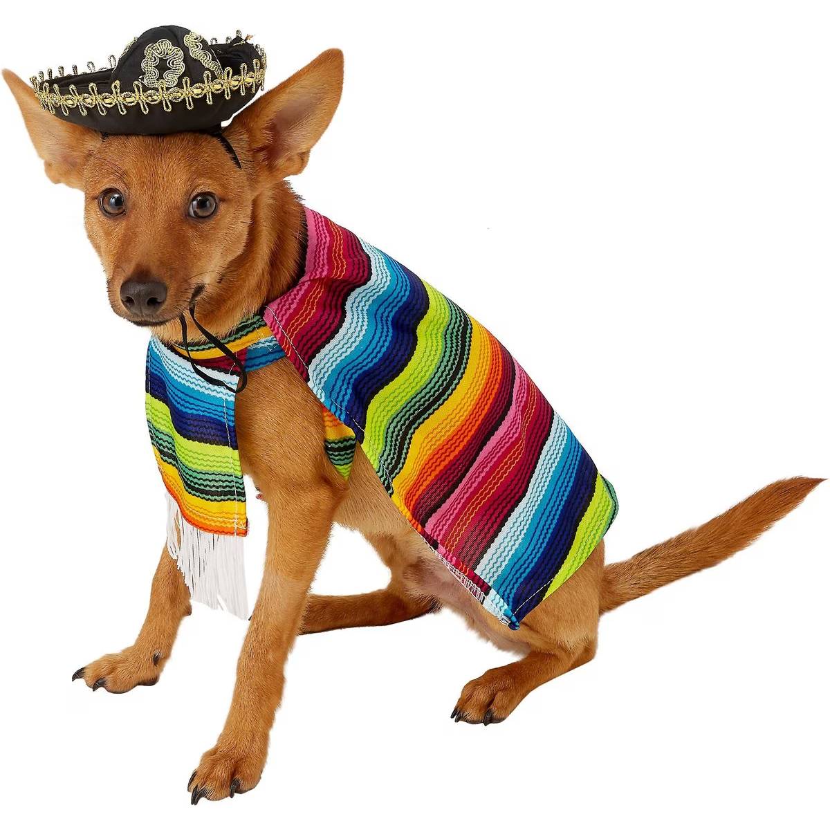 Rubie's Costume Company Serape Dog &amp; Cat Costume