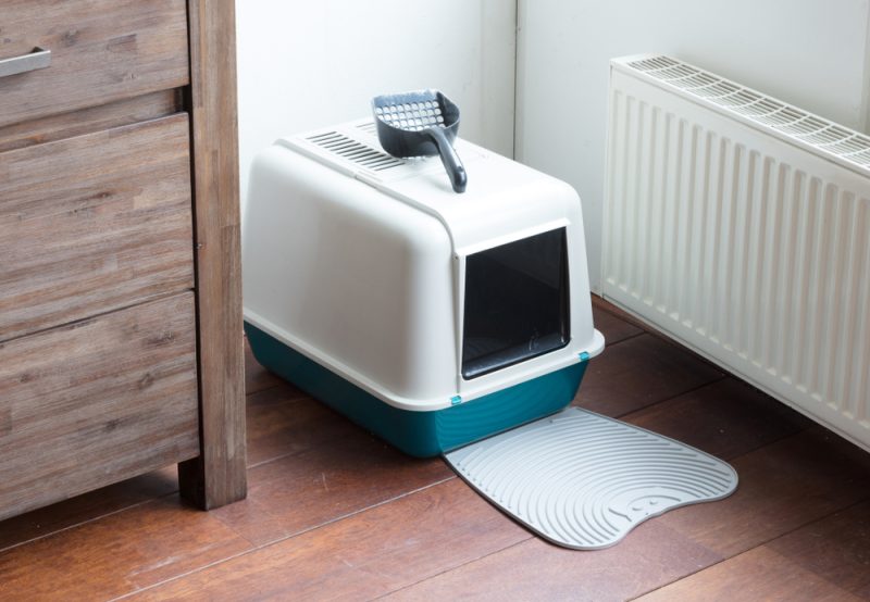 hooded-cat-litter-box-in-the-corner