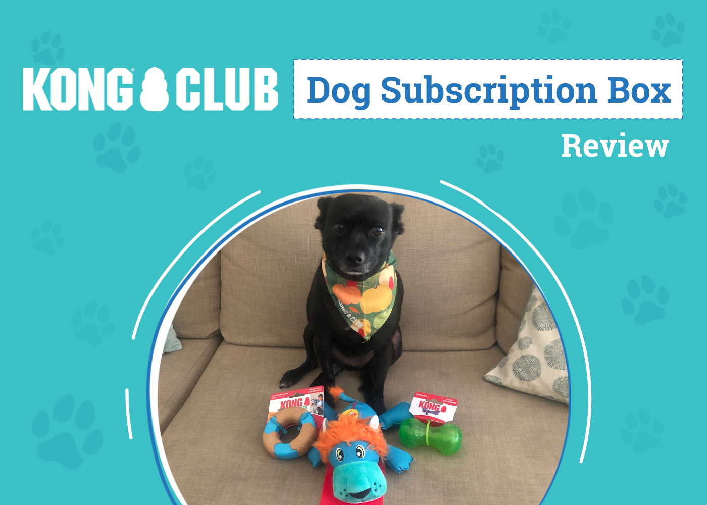 KONG Club Dog Subscription Box Review 2026: An Expert's Breakdown