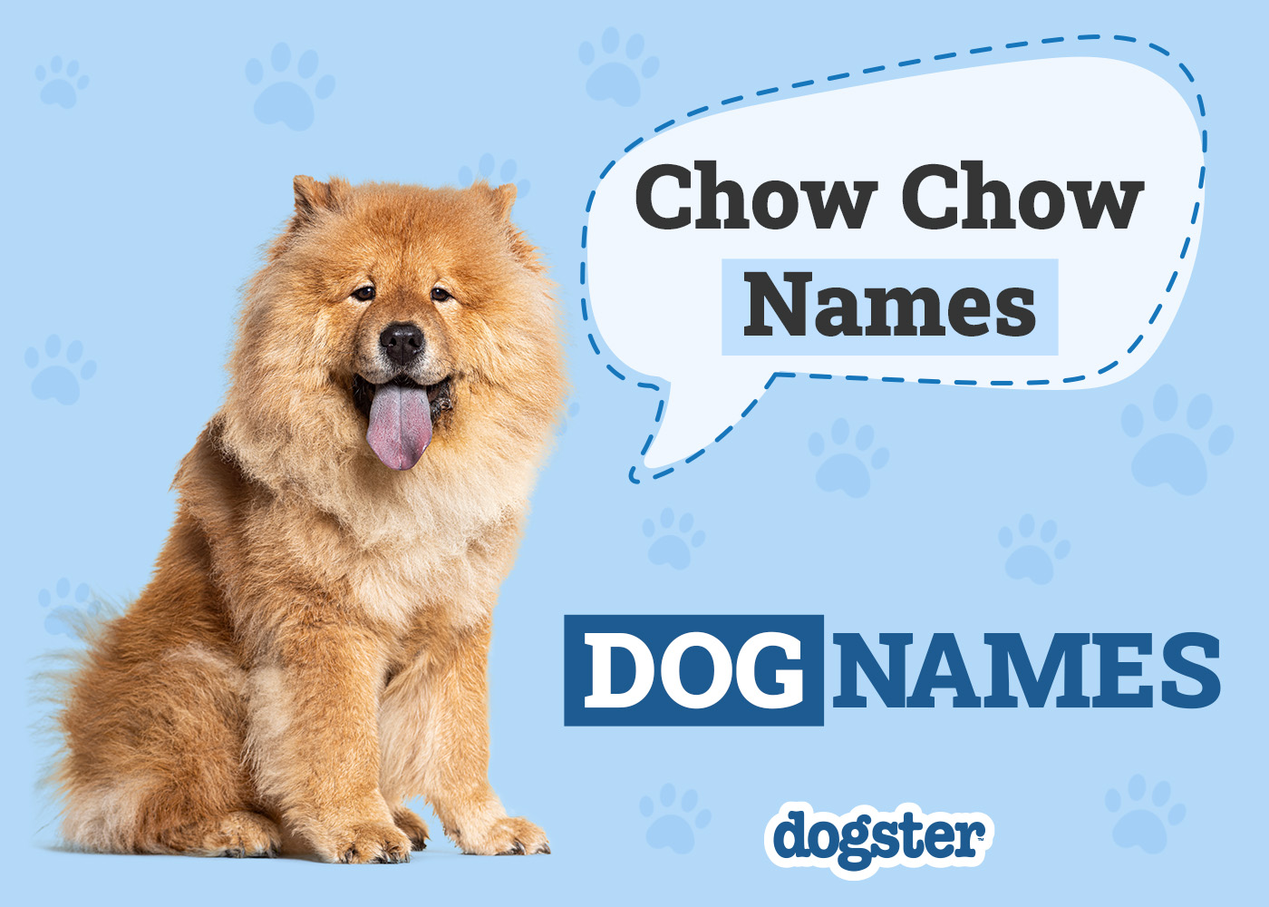 200+ Popular Chow Chow Dog Names: Unique Options for Your Adorable Pet