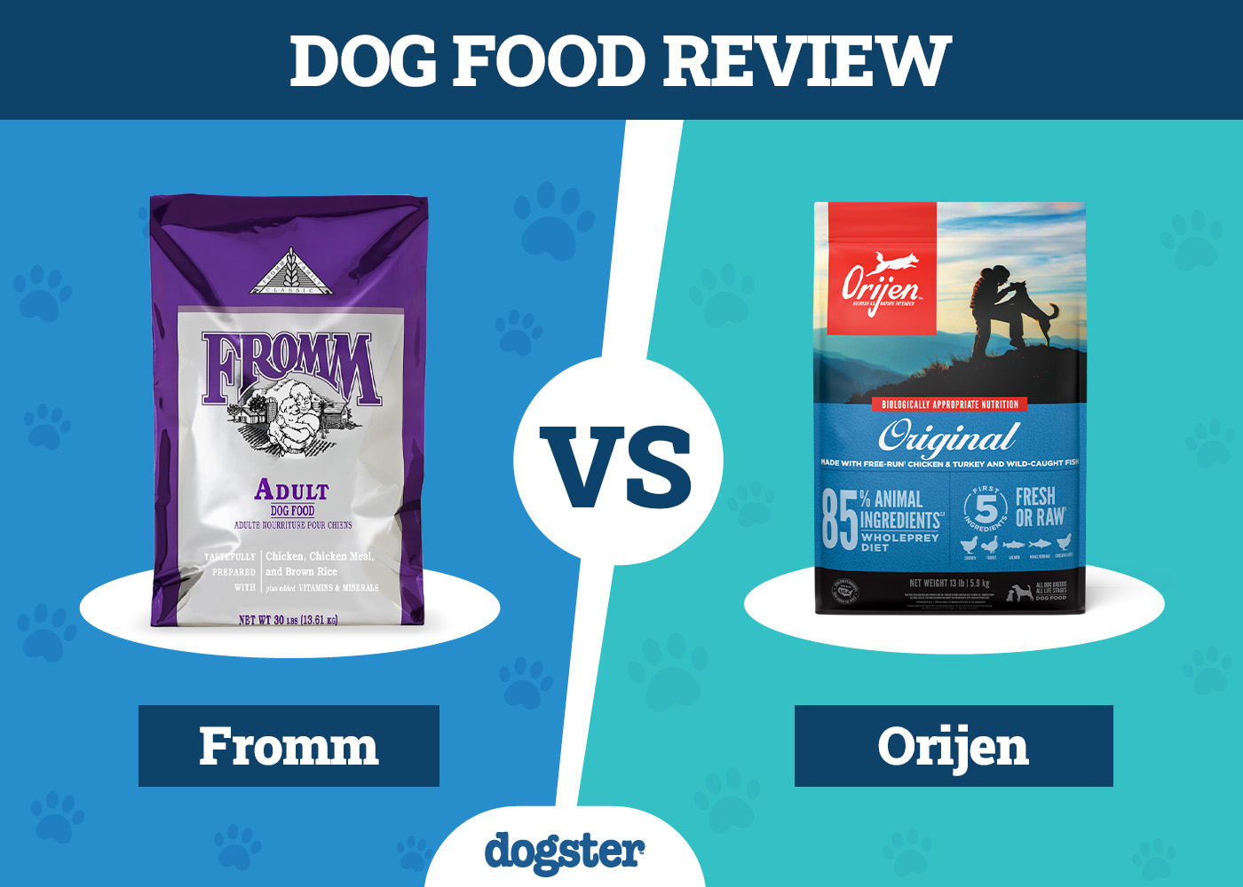 Fromm vs Orijen Dog Food: 2026 Comparison, Pros & Cons