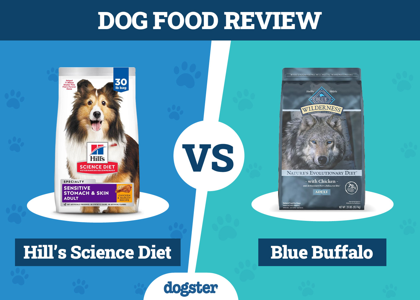 Hill’s Science Diet vs Blue Buffalo Dog Food: 2026 Comparison, Pros & Cons