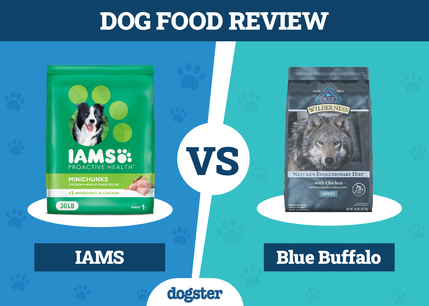 Iams Dog Food vs. Blue Buffalo: 2026 Comparison, Pros & Cons