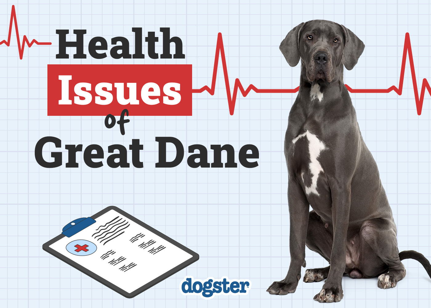 Great Dane Health Issues: 9 Common Problems to Watch For (Vet Answer)