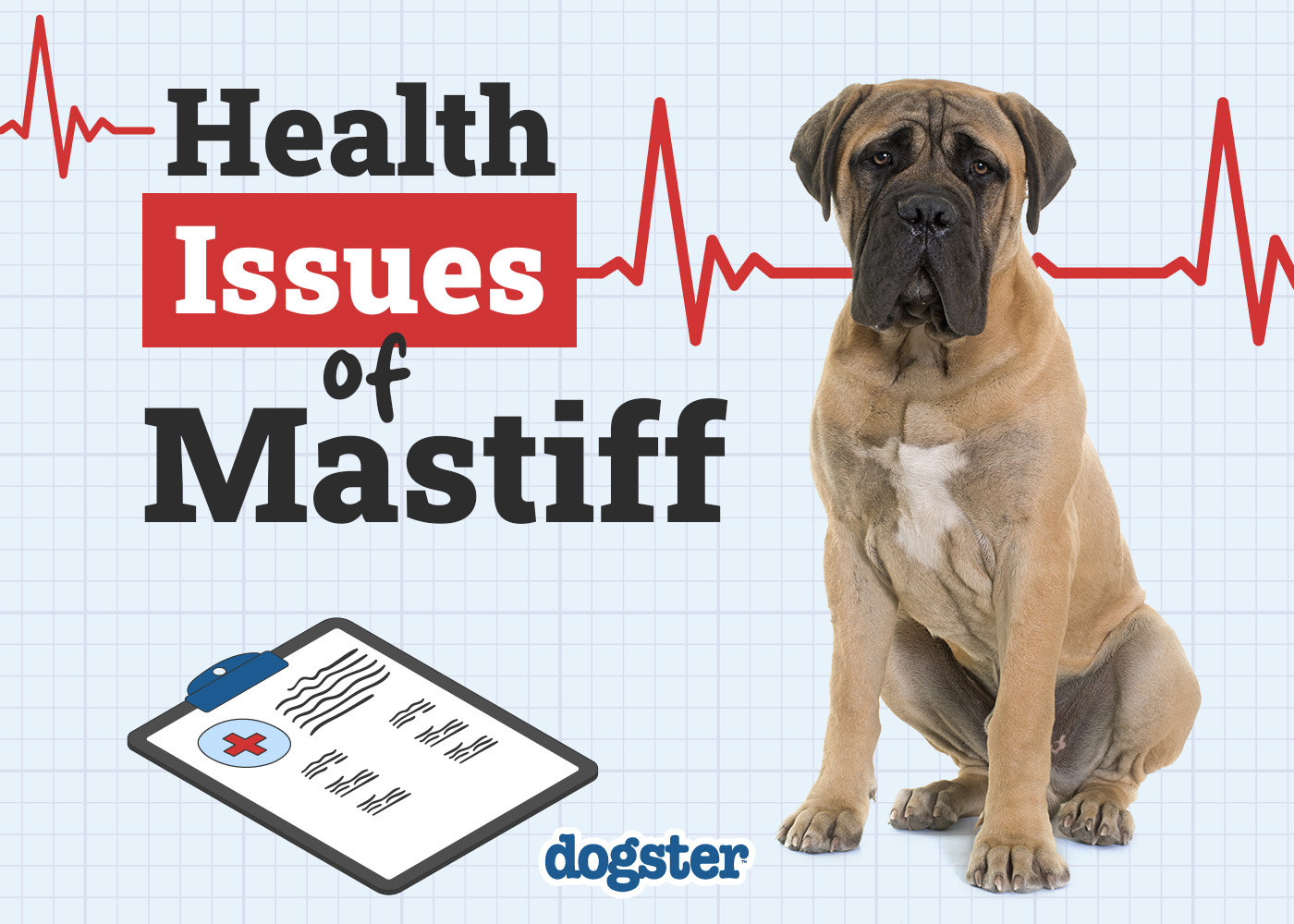 9 Common Health Problems in Mastiffs – Diseases to Be Aware Of!
