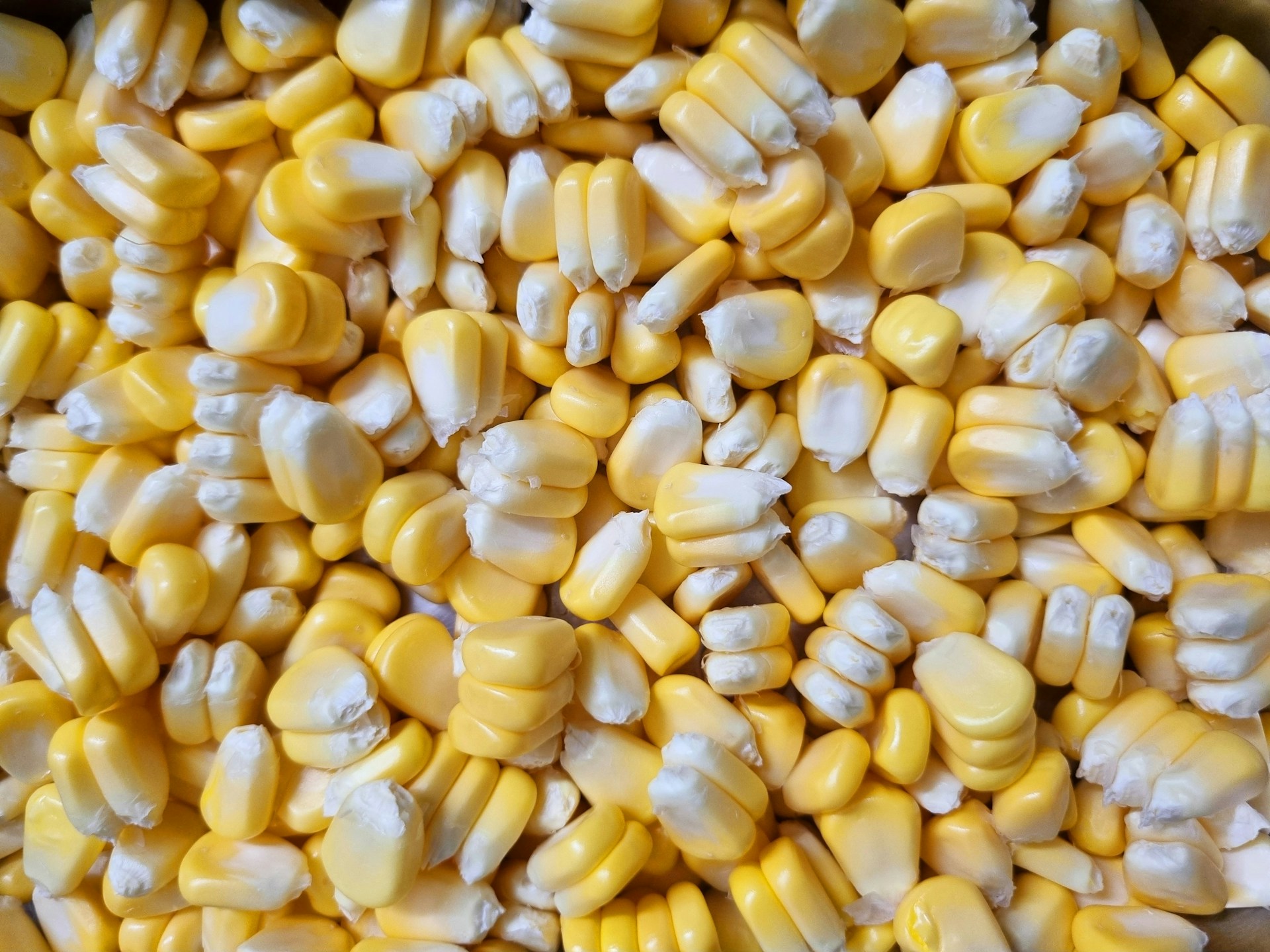 corn kernels