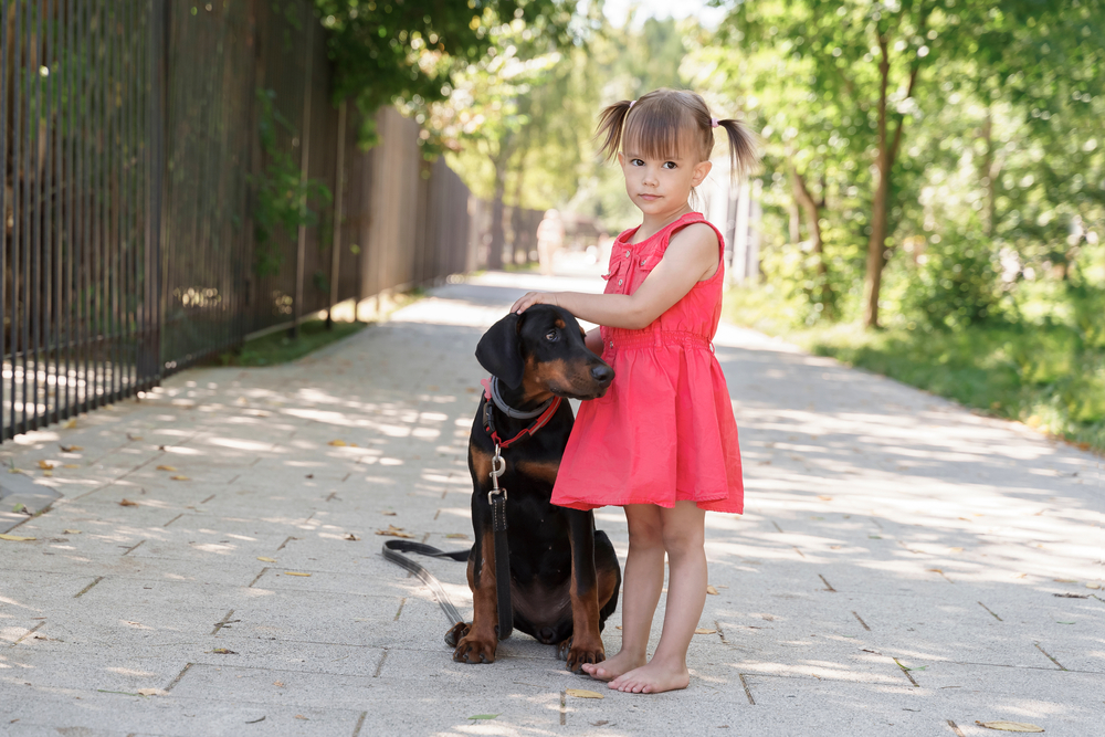 Are Dobermans Good With Kids? Pros & Cons