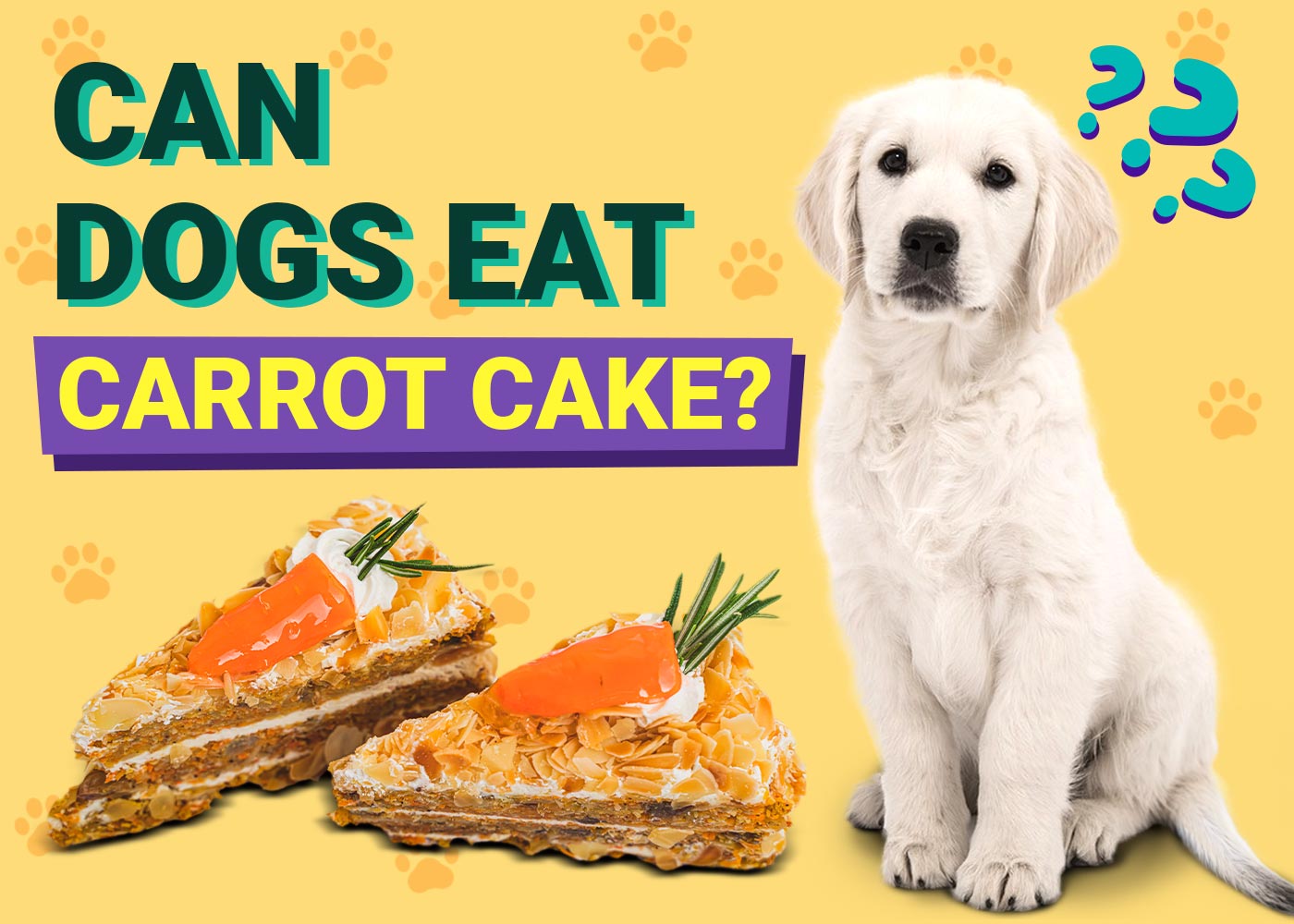 Can Dogs Eat Carrot Cake? Vet-Reviewed Facts & Safe Recipes