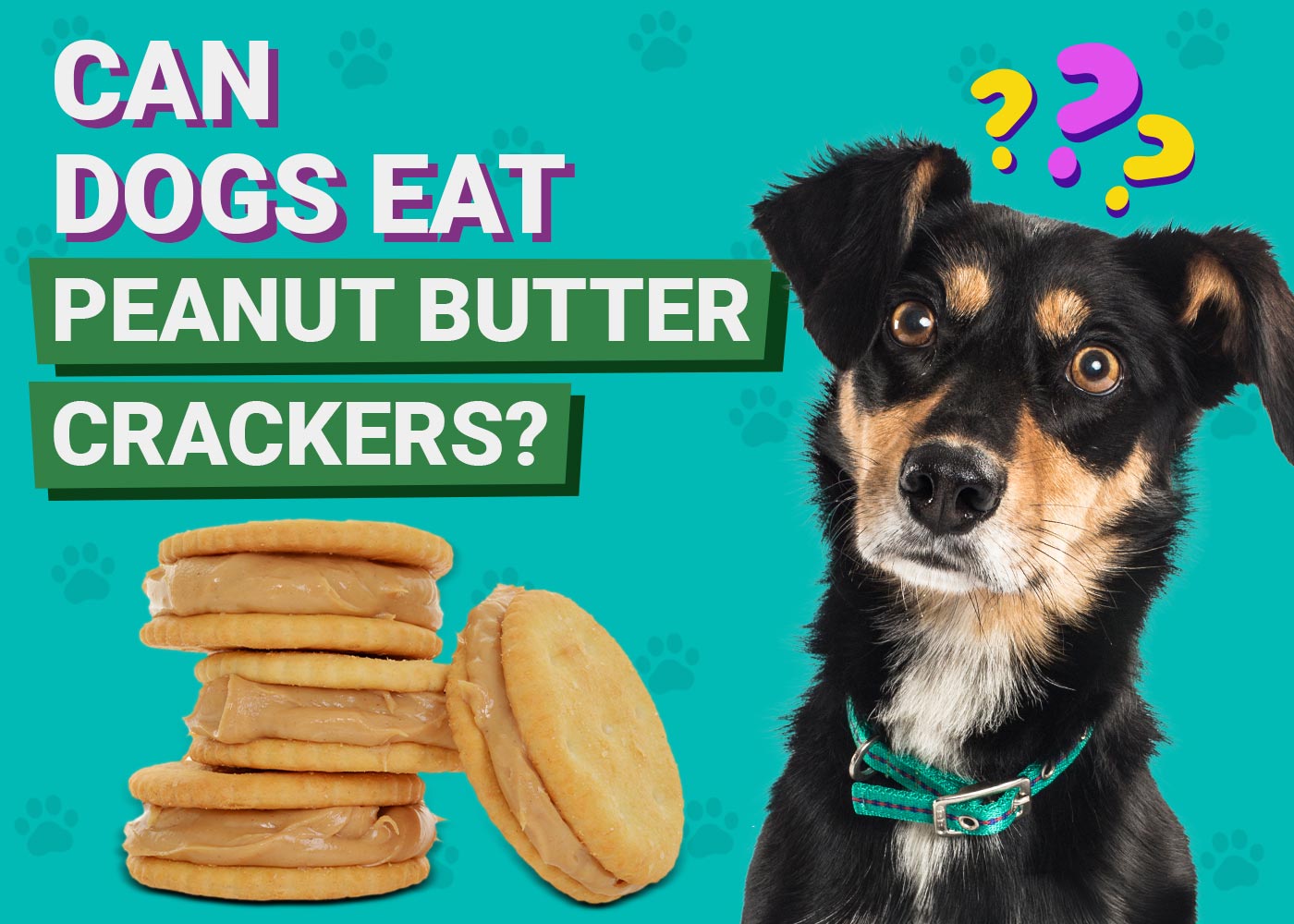Can Dogs Eat Peanut Butter Crackers? Vet-Approved Facts