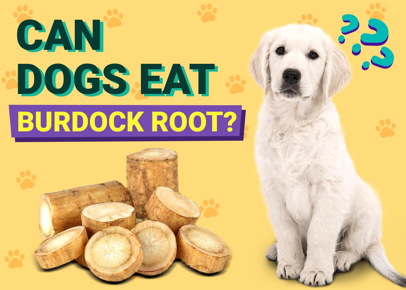 Can Dogs Eat Burdock Root? Vet-Verified Facts & FAQ