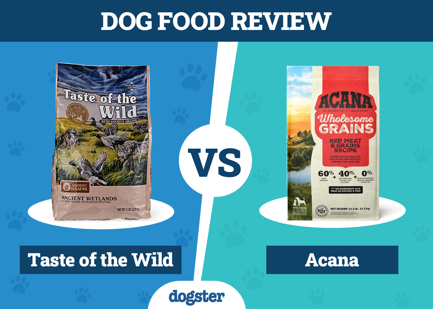 Taste of the Wild vs. Acana Dog Food: Our 2026 In-Depth Comparison