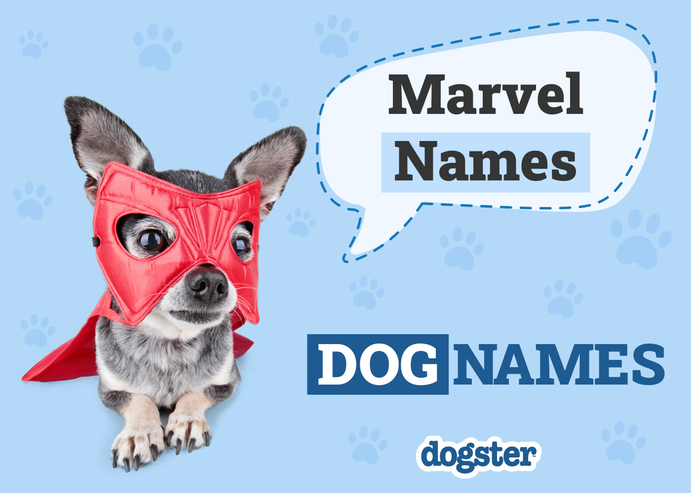 100 Marvel Dog Names for Your Super Furry Friend