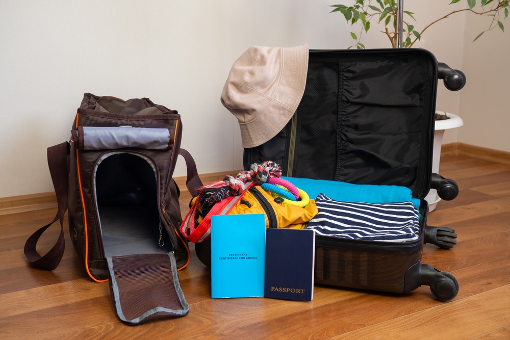 Traveling to Mexico With a Dog: 14 Vet-Reviewed Points to Consider
