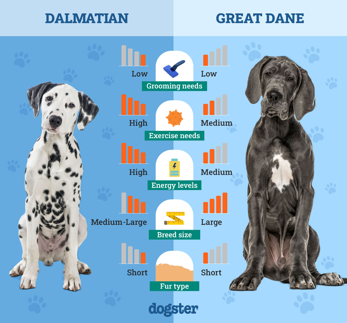 Dogster_Side by Side Comparison_ Dalmatian vs Great Dane