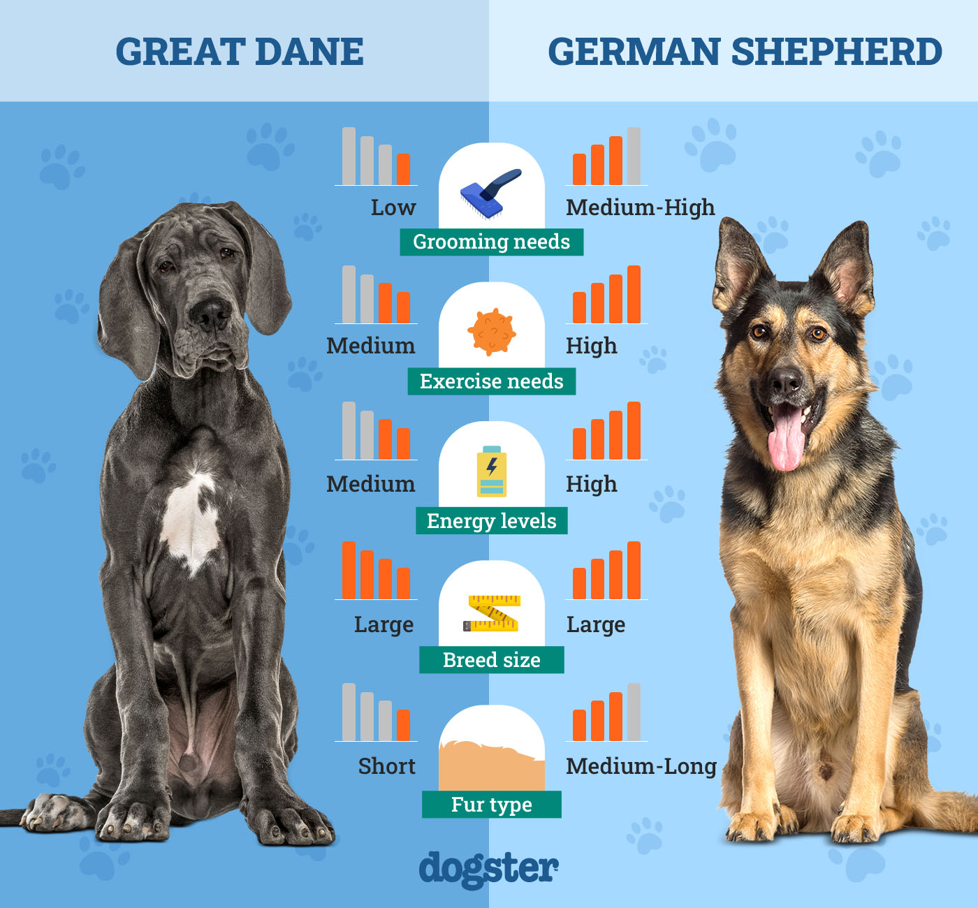 Dogster_Side by Side Comparison_Great Dane vs German Shepherd