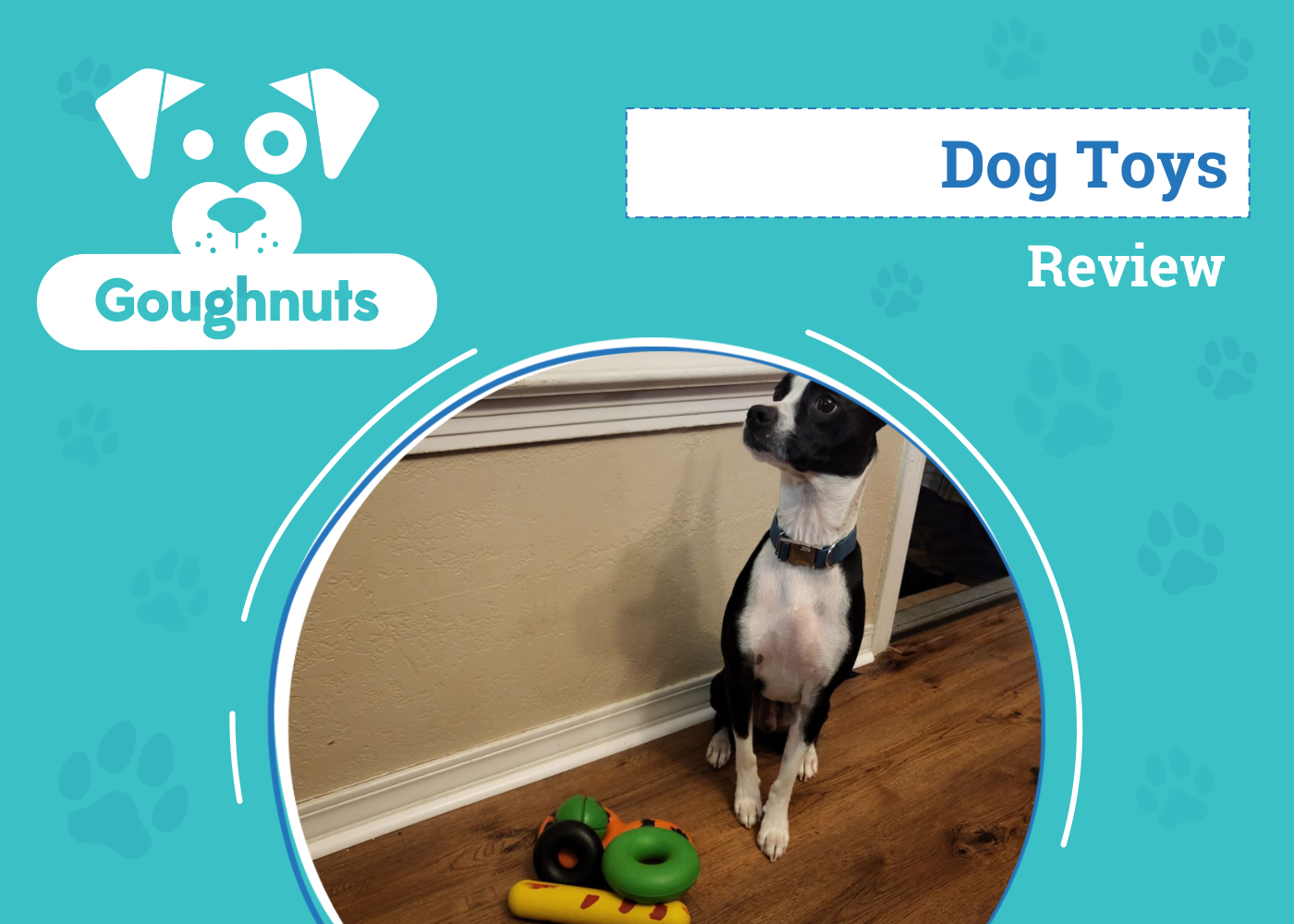 Goughnuts Dog Toy Review 2026: Is It a Good Value? An Expert's Breakdown