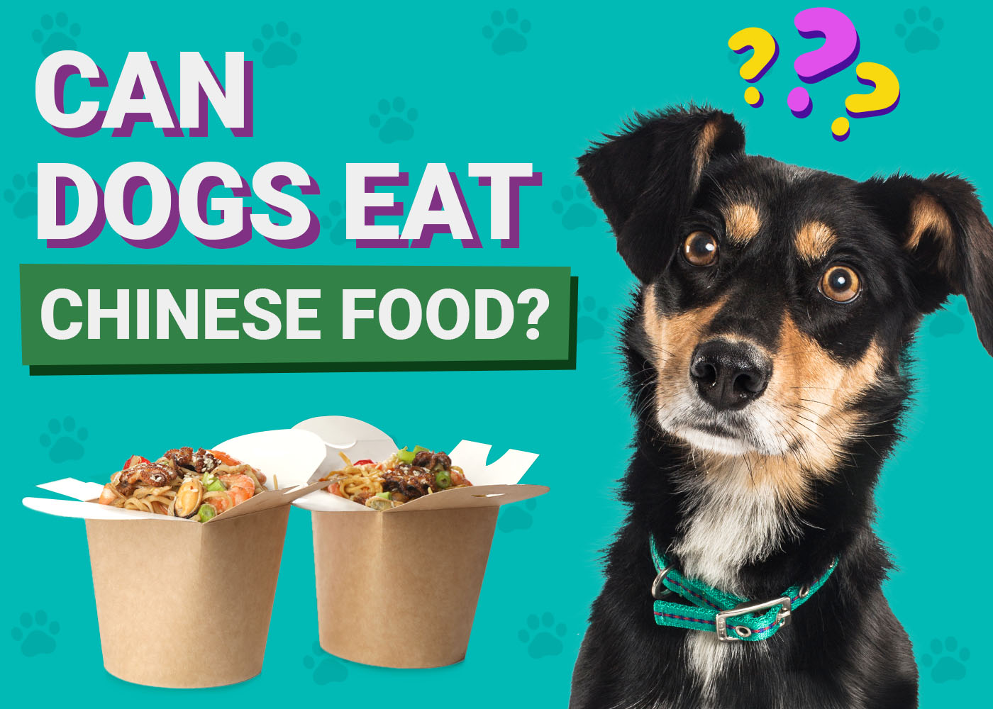 Can Dogs Eat Chinese Food? Vet-Verified Facts & FAQ