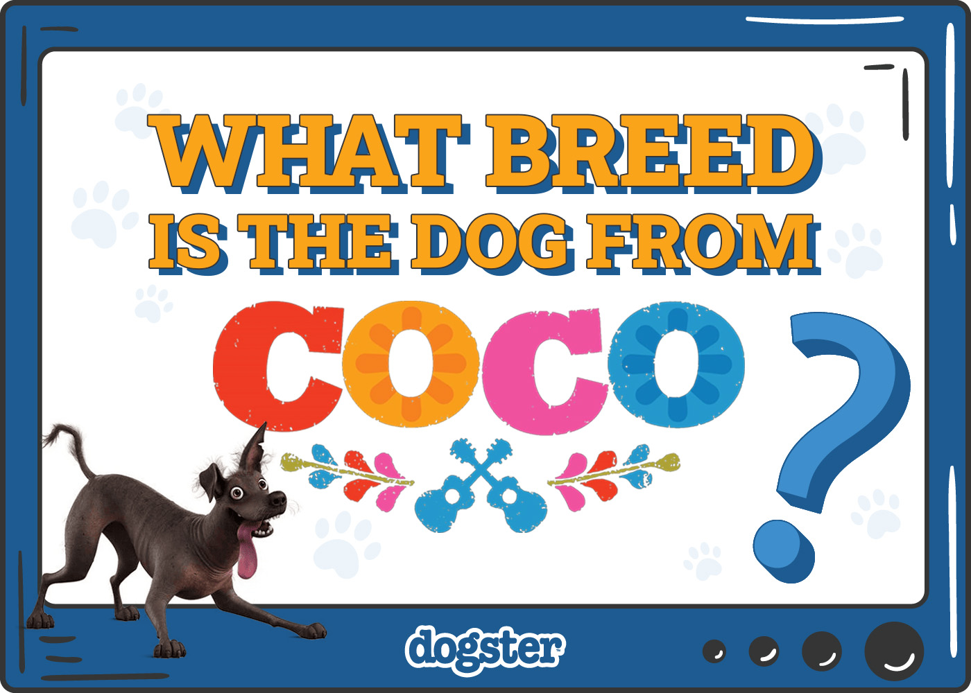 What Breed Is the Dog From Coco? The Fascinating Mexican Breed