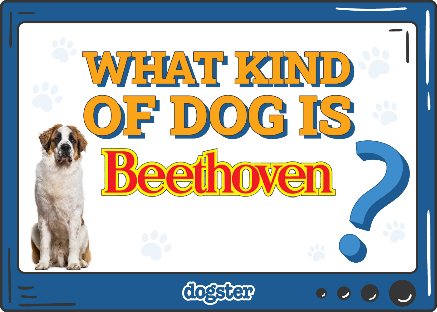 What Kind of Dog Is Beethoven? Facts & Behind-the-Scenes