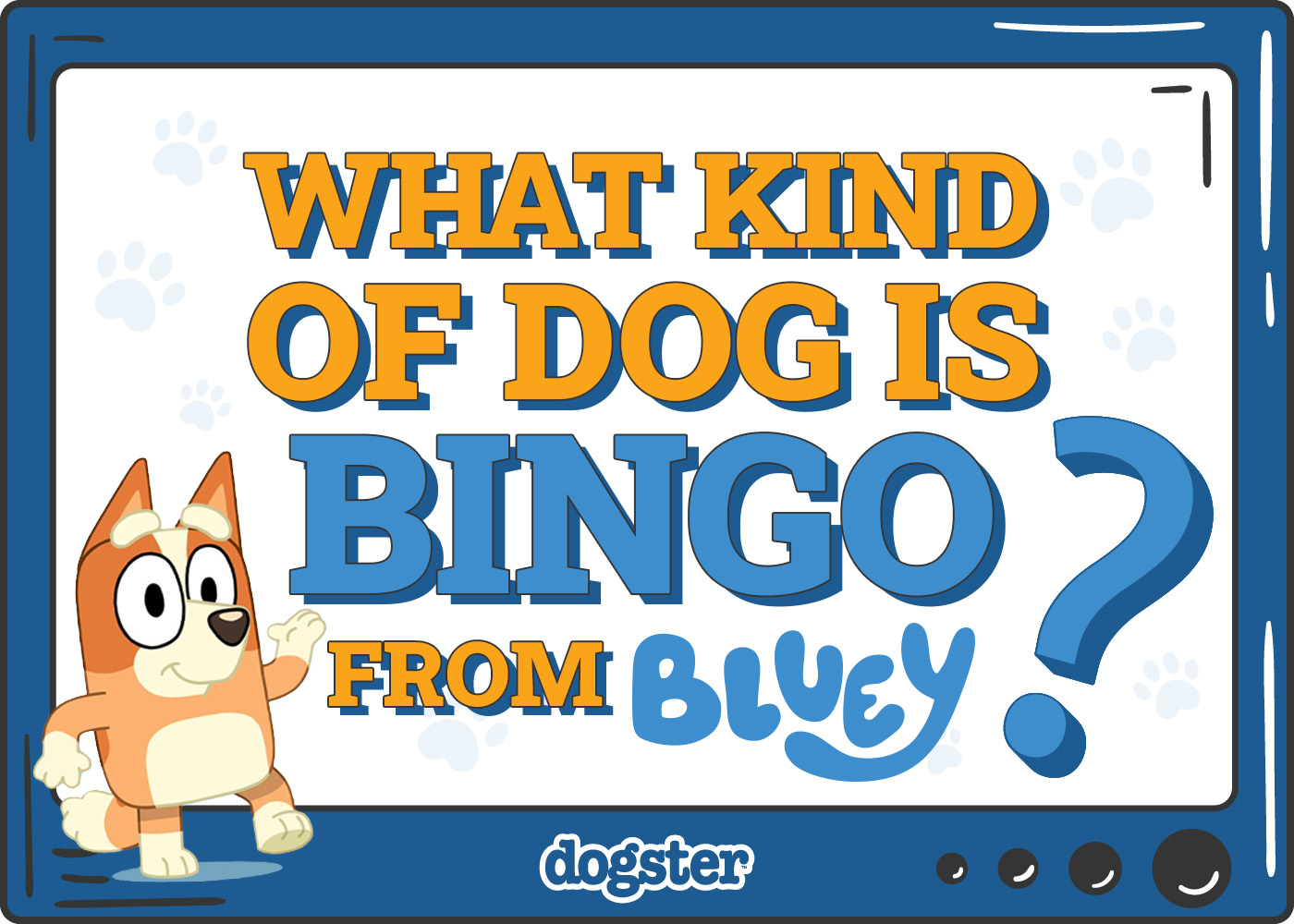 What Kind of Dog Is Bingo From Bluey? Famous TV Canines Revealed