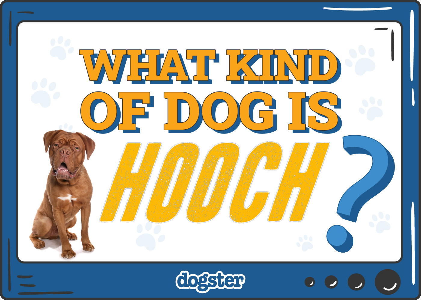 What Kind of Dog Is Hooch? Turner & Hooch in Real Life