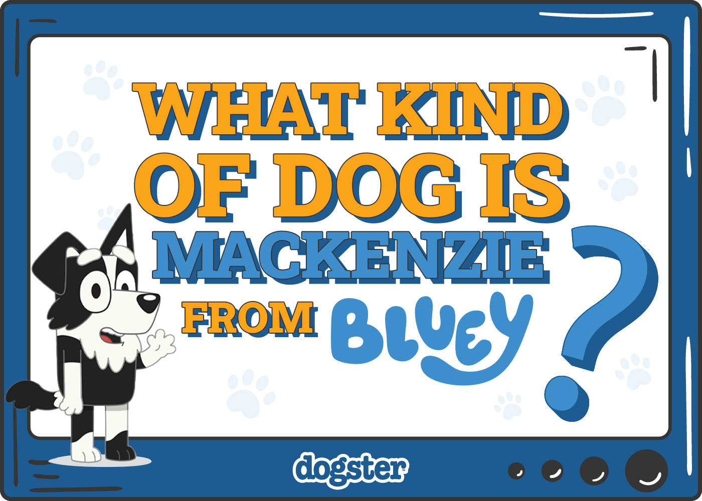 What Kind of Dog Is Mackenzie from Bluey? Breed Facts & Explanation