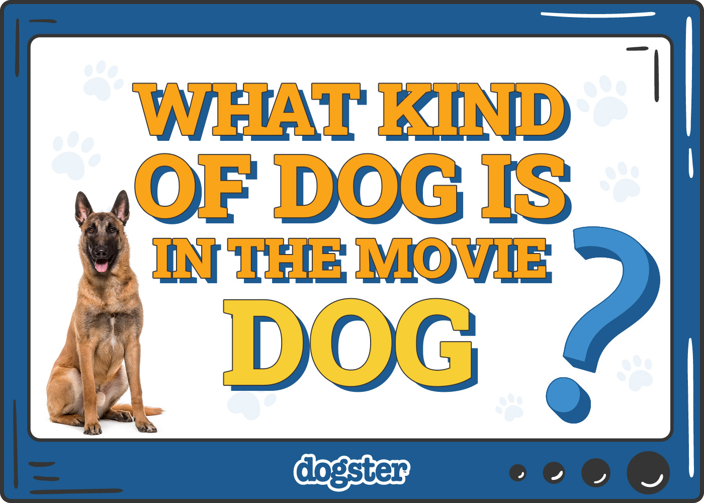 What Kind of Dog Is in the Movie Dog? Vet-Verified Facts