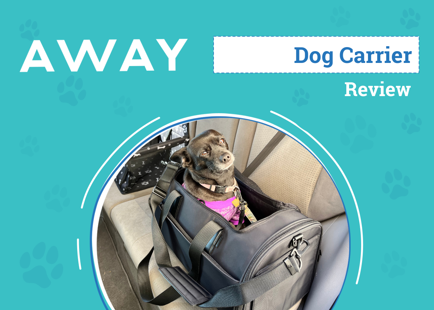 Away’s Pet Carrier Review 2026: An Expert's Breakdown